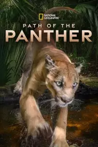 watch-Path of the Panther