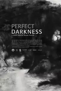 watch-Perfect Darkness