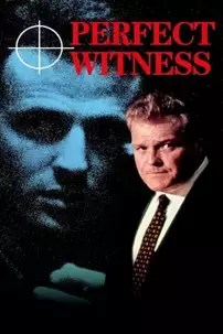 watch-Perfect Witness