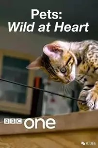 watch-Pets: Wild at Heart