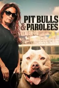 watch-Pit Bulls and Parolees