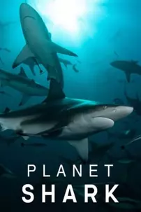 watch-Planet Shark