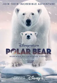 watch-Polar Bear