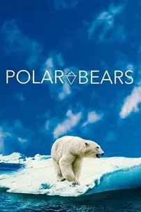 watch-Polar Bears