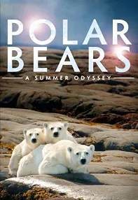 watch-Polar Bears: A Summer Odyssey