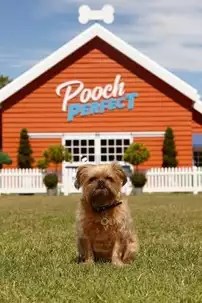 watch-Pooch Perfect