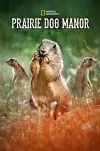 watch-Prairie Dog Manor