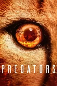 watch-Predators