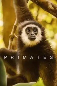 watch-Primates