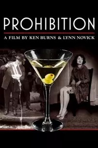 watch-Prohibition