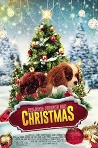 watch-Project: Puppies for Christmas