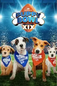 watch-Puppy Bowl XIX