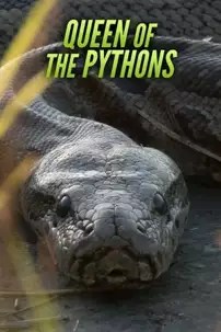 watch-Queen of the Pythons