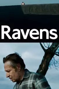 watch-Ravens