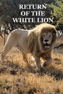 watch-Return of the White Lion