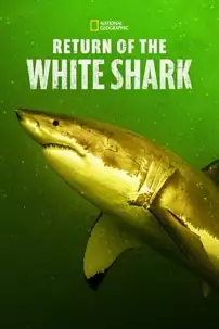watch-Return of the White Shark