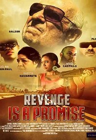 watch-Revenge is a Promise