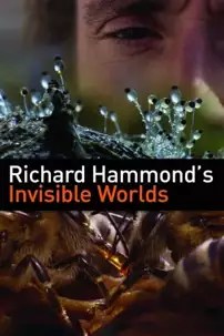 watch-Richard Hammond’s Invisible Worlds