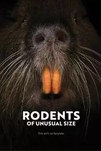 watch-Rodents of Unusual Size