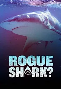 watch-Rogue Shark