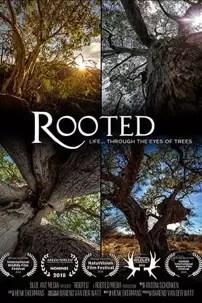 watch-Rooted