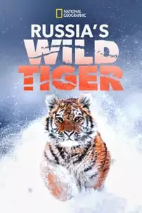 watch-Russia’s Wild Tiger