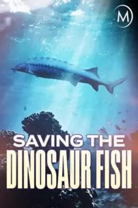 watch-Saving the Dinosaur Fish