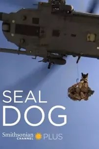 watch-SEAL Dog