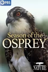 watch-Season of the Osprey