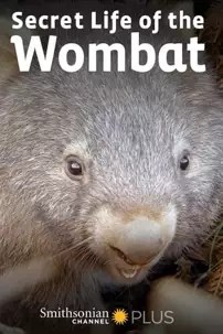 watch-Secret Life of the Wombat