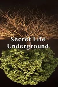 watch-Secret Life Underground