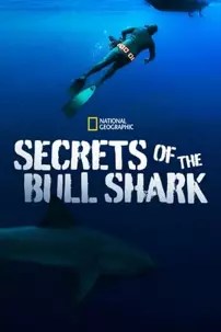 watch-Secrets of the Bull Shark