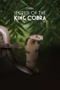 watch-Secrets of the King Cobra