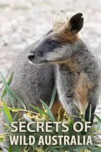 watch-Secrets of Wild Australia