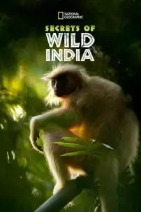 watch-Secrets of Wild India