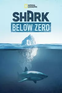 watch-Shark Below Zero