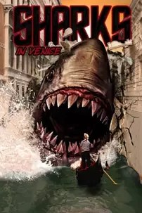 watch-Shark in Venice