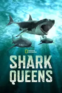 watch-Shark Queens
