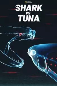 watch-Shark vs. Tuna