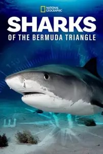 watch-Sharks of the Bermuda Triangle