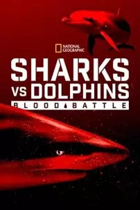 watch-Sharks vs. Dolphins: Blood Battle