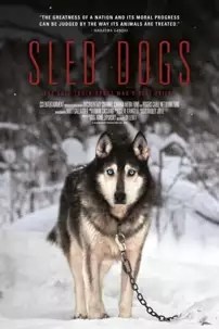 watch-Sled Dogs