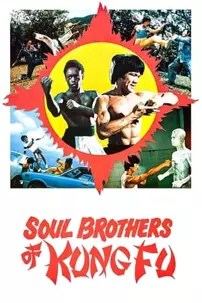 watch-Soul Brothers of Kung Fu