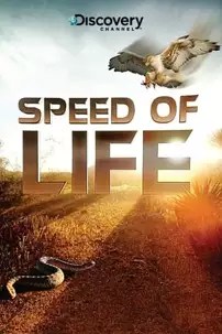 watch-Speed of Life