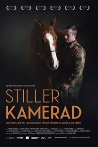 watch-Stiller Kamerad