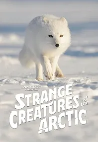 watch-Strange Creatures of the Arctic