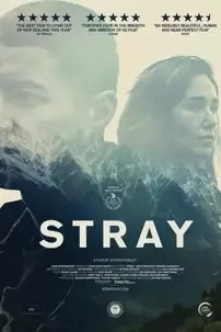 watch-Stray