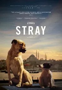 watch-Stray