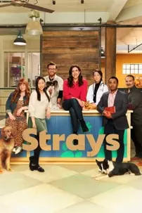 watch-Strays