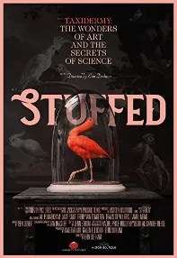 watch-Stuffed